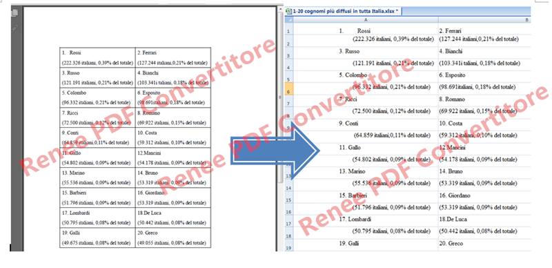 Risultato di convertire PDF in Excel con Renee PDF Convertitore